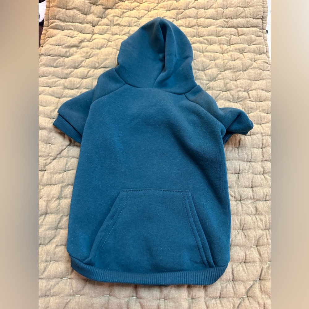 Teal Dog Hoodie